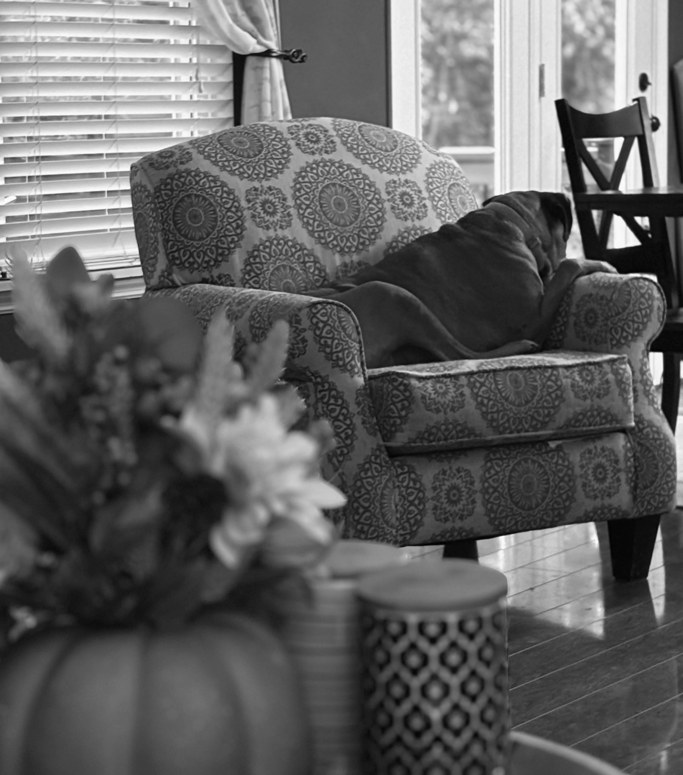 The Door Opened Early!