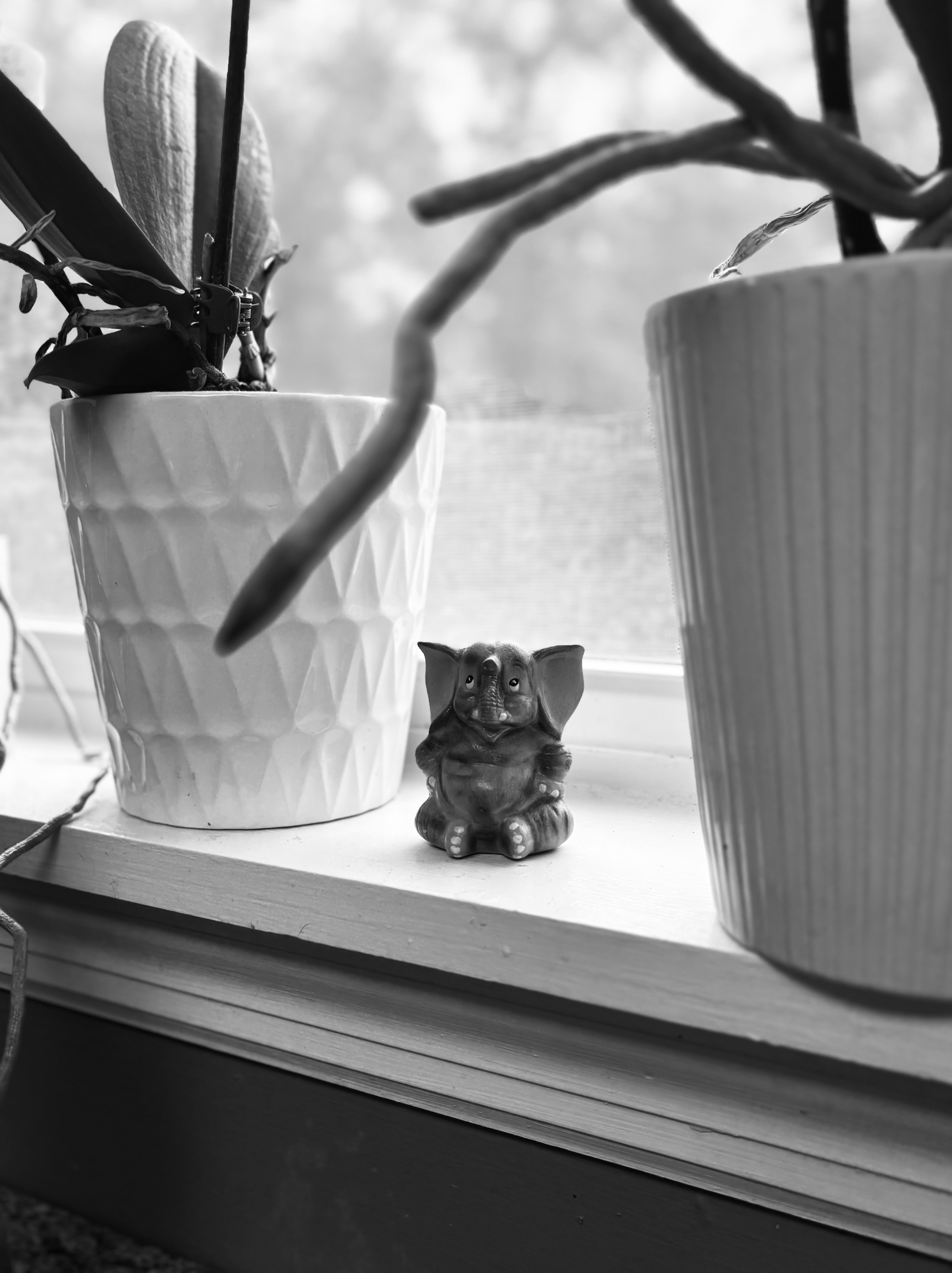 Tears are love’s way of saying, “I honor.”